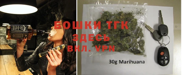 молекула духа Волоколамск