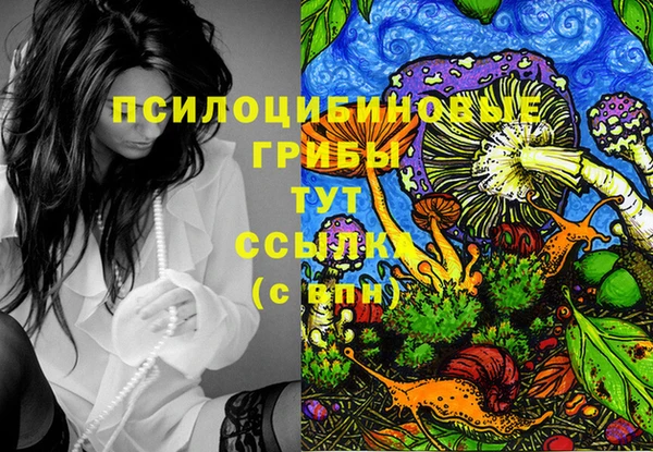 молекула духа Волоколамск