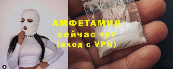 молекула духа Волоколамск