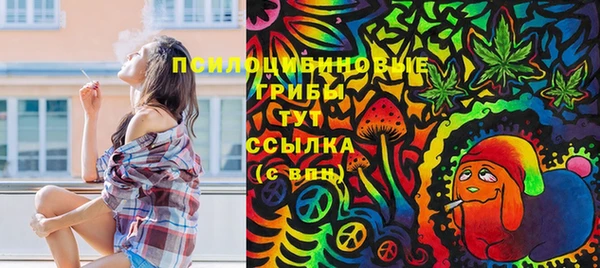 молекула духа Волоколамск