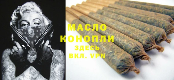 молекула духа Волоколамск