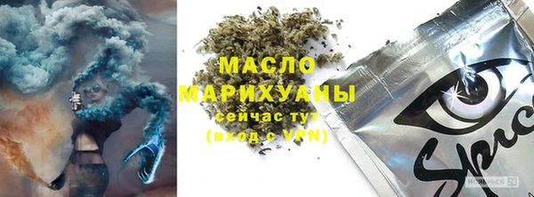 молекула духа Волоколамск